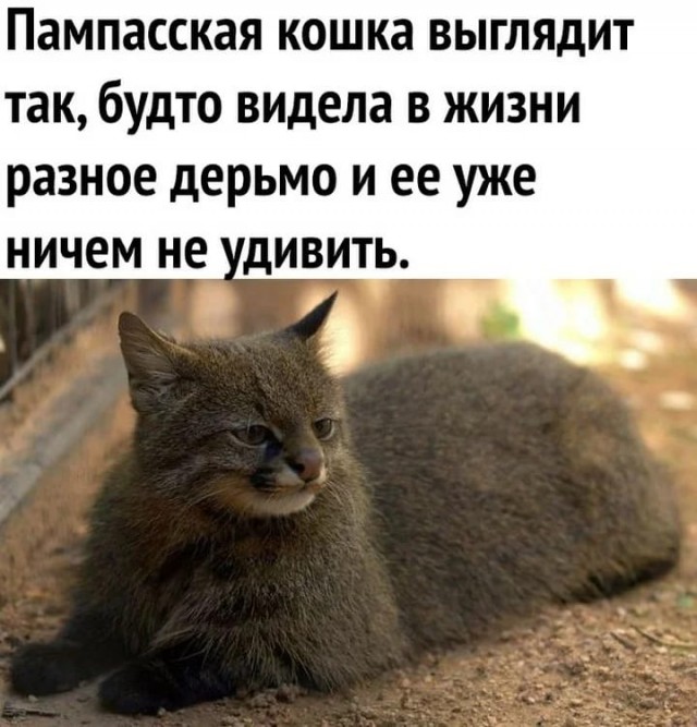 Не на нас, а на вас