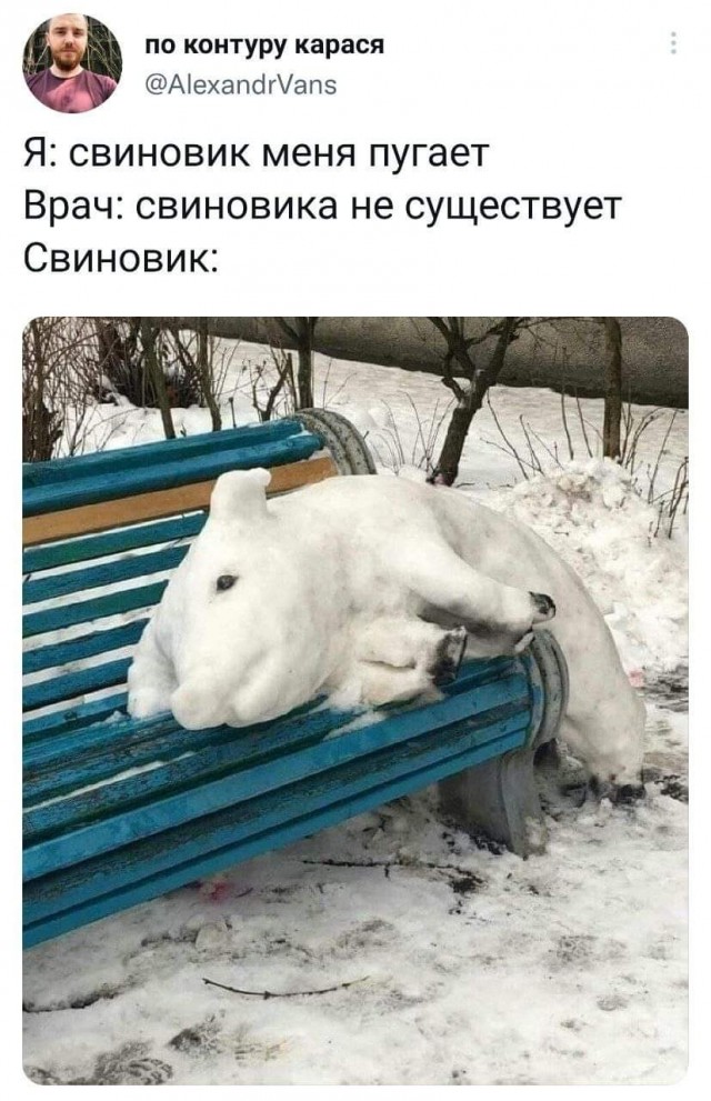 Всяческие картинки 10.12.2021