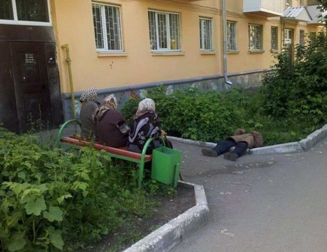 Скотсети и прочие интернеты 08.04.2022