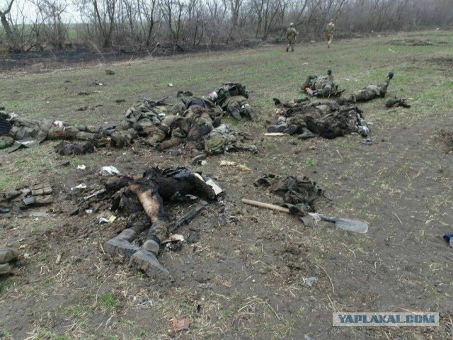 Минус 2 грузинских нациста