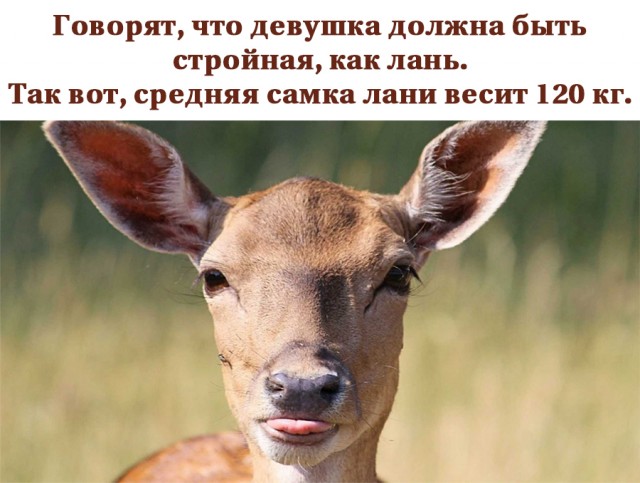 Немного картинок и прочей хреноты Vol. 15