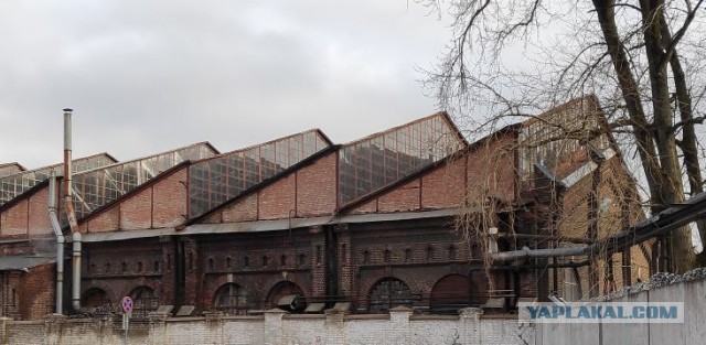 Питер лето 2022. Зарисовка