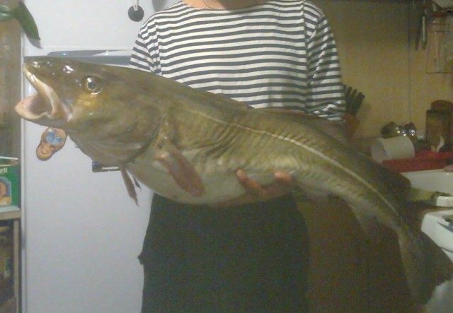 Кольский полуостров