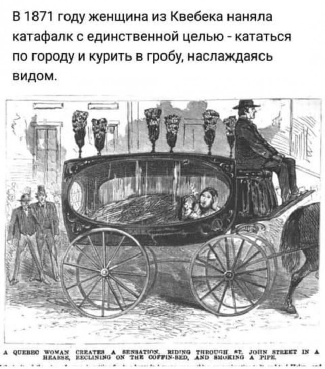 Так себе картинки 26.07.22