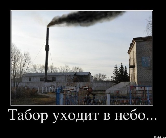 Сами не местные, голодаем и скитаемся