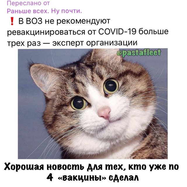 Пандемия съехавших крыш - разновидности болезни. Россия и мир. Часть 40.