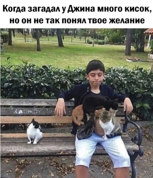 Так себе картинки 26.08.22