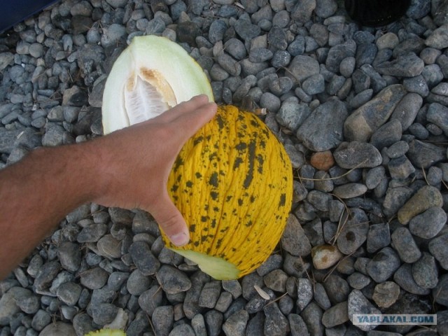 Путешествие Геленджик-Турция