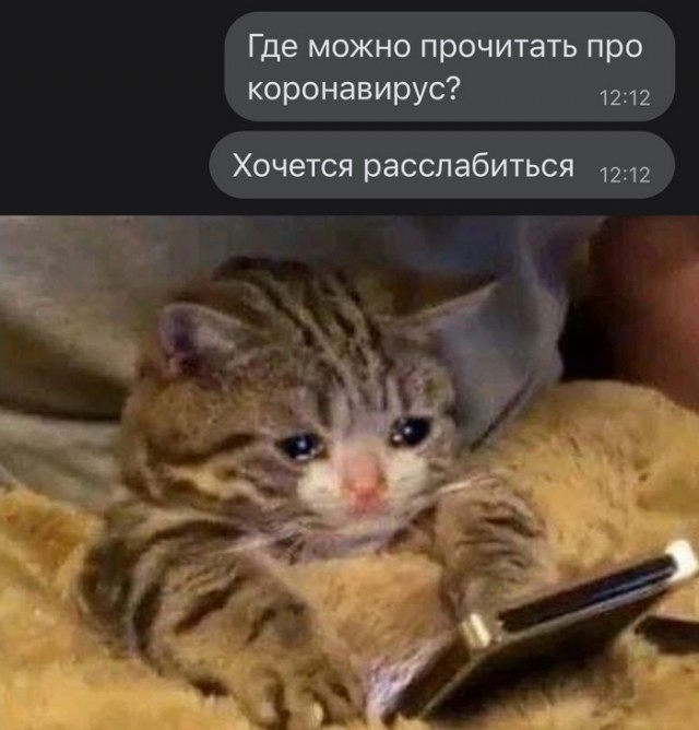 Картинки и мемы. Выходные близко...