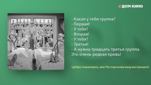 Золотая кровь: Только один из 6 млн. человек во всем мире имеет такую "универсальную" группу крови