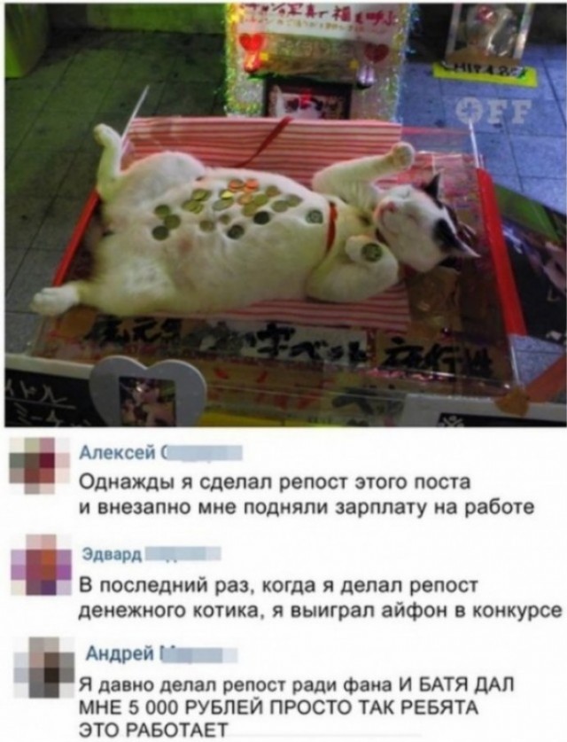 Скриншоты и комментарии из социальных сетей 10.12.22