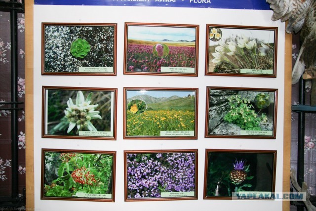 В Монголию на мотоциклах 2006