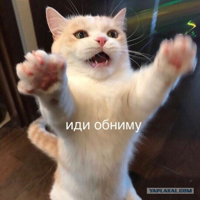 Что здесь происходит?