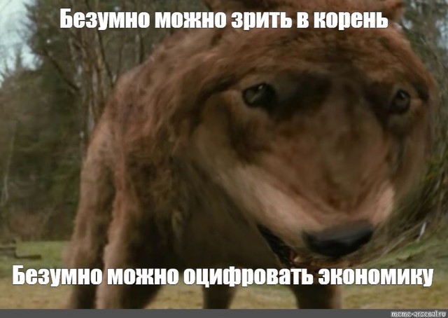 Минцифры подготовило проект указа о цифровом паспорте