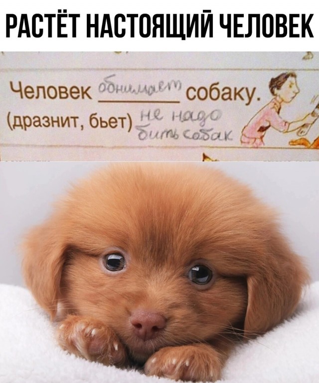 Картинки и мемы, всяко разно - 185
