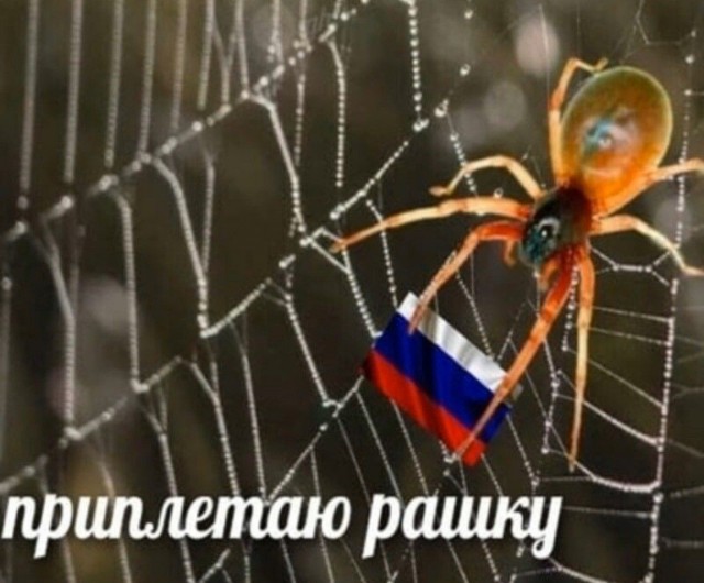 Видео момента продажи детей в Индии расходится по мировым соцсетям