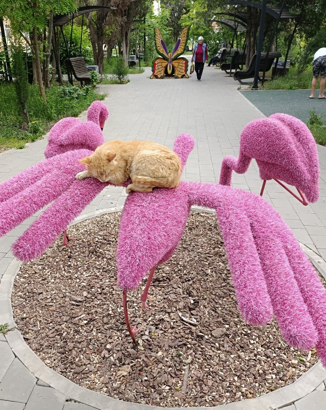 Очень люблю Моего Хозяина