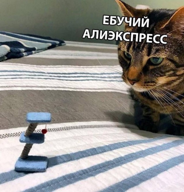 Так себе картинки 28.10.23
