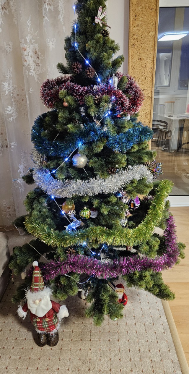 Показываем свои деревья