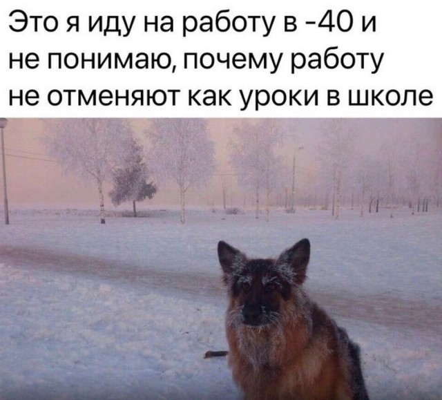 Всего понемногу. От 18.12.23