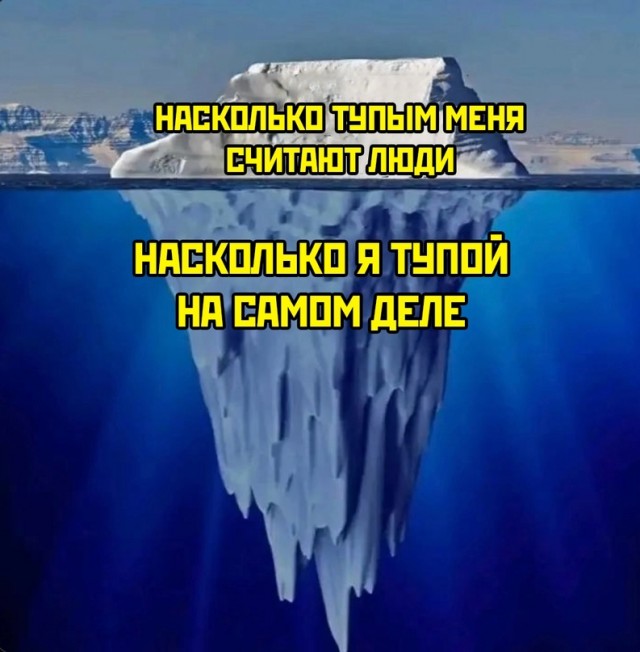 Весёлый полтишок 23.01.24
