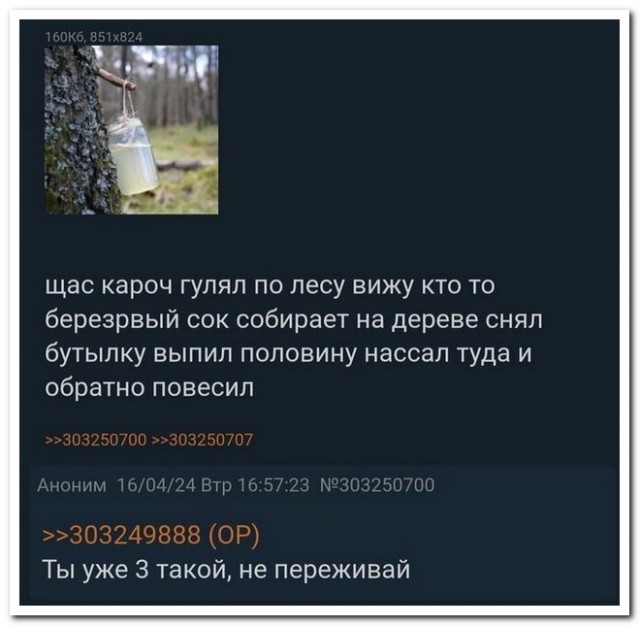 Забавные комментарии из социальных сетей 29.04.24