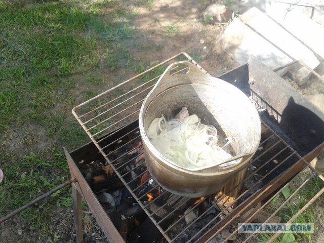 Пловские старания, ... эпическое полотно о Плове...