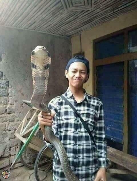 Друзья до гробовой доски