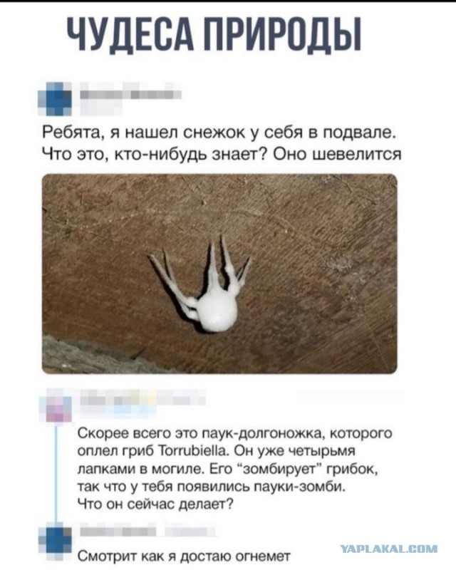 Завалялось тут случайно немного забавных картинок