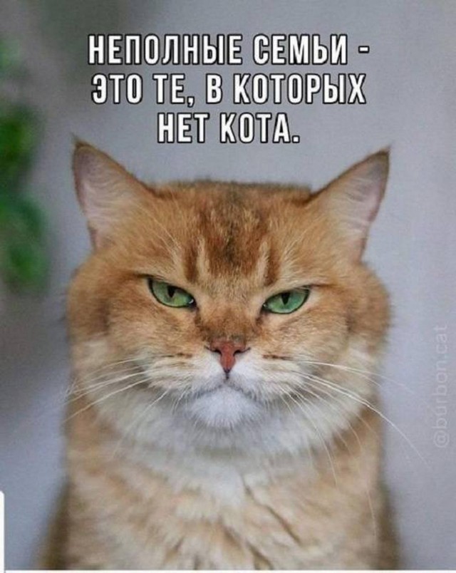 Картинки разные с надписями и без