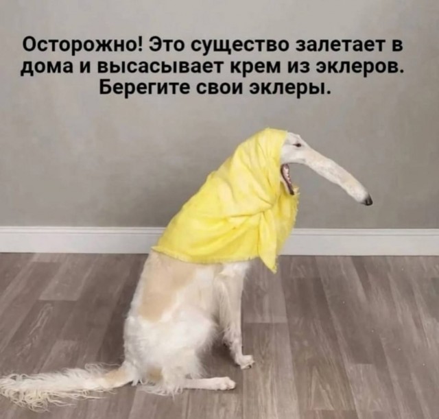 Так себе картинки 22.10.24