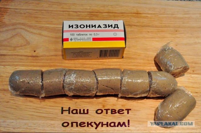 В Рязани стая бродячих псов атаковала школьника на детской площадке.