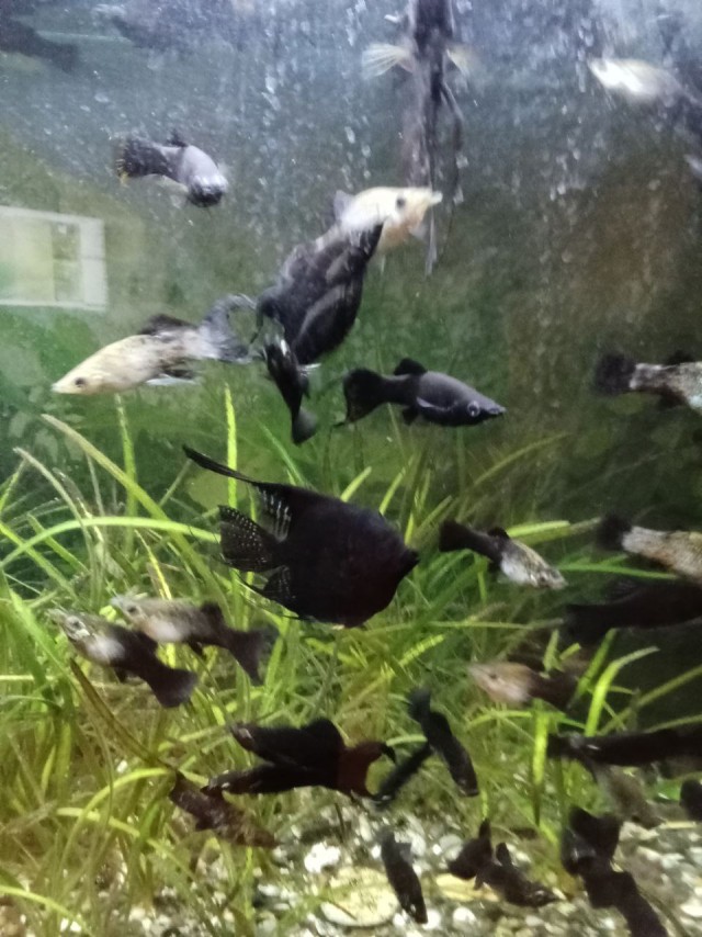 Третий круг