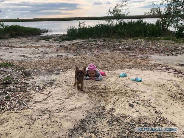 Дача, рукоделие, стройка