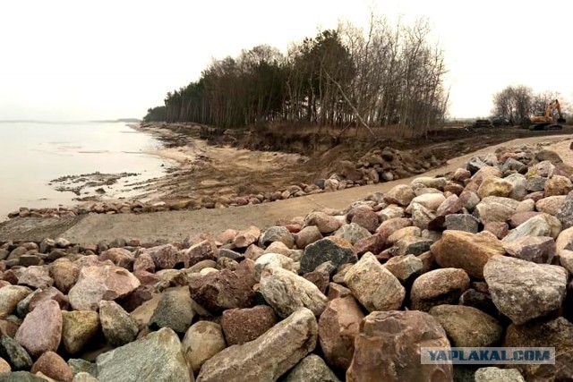 Собранный загрязнённый песок с берега Черного моря