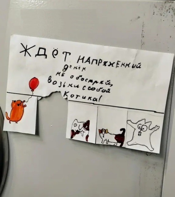 Не обостряй, возьми с собой котика