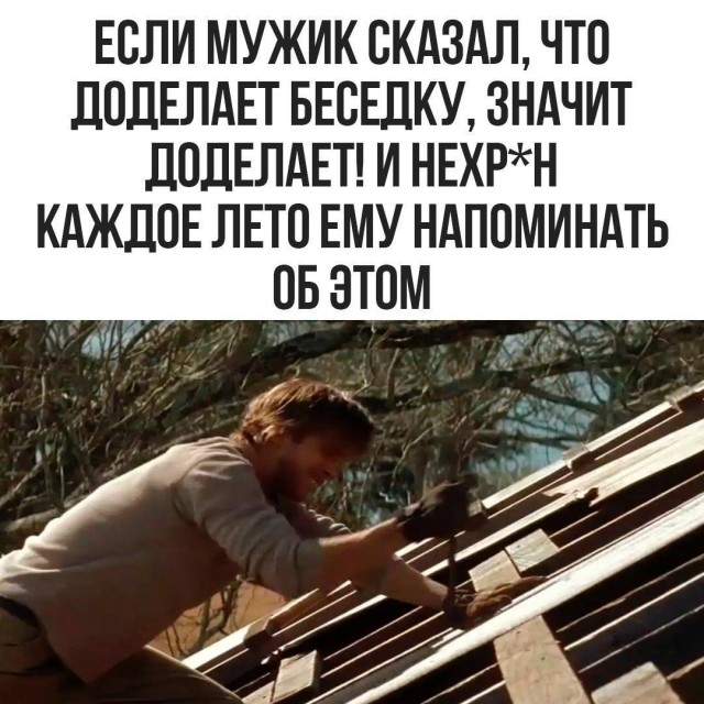 Немного забавных картинок от 14.06.2025