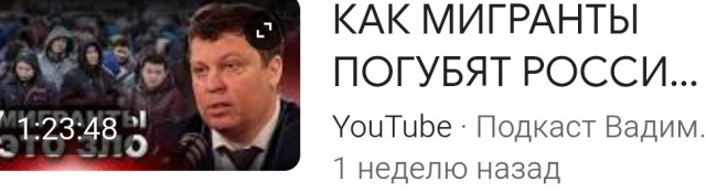 В Госдуму внесен законопроект о расширении перечня оснований, по которым мигрантов будут лишать приобретённого гражданства