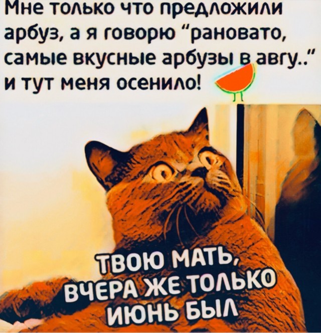Так себе картинки 01.08.25