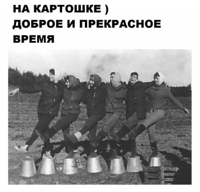 Так себе картинки 11.11.25