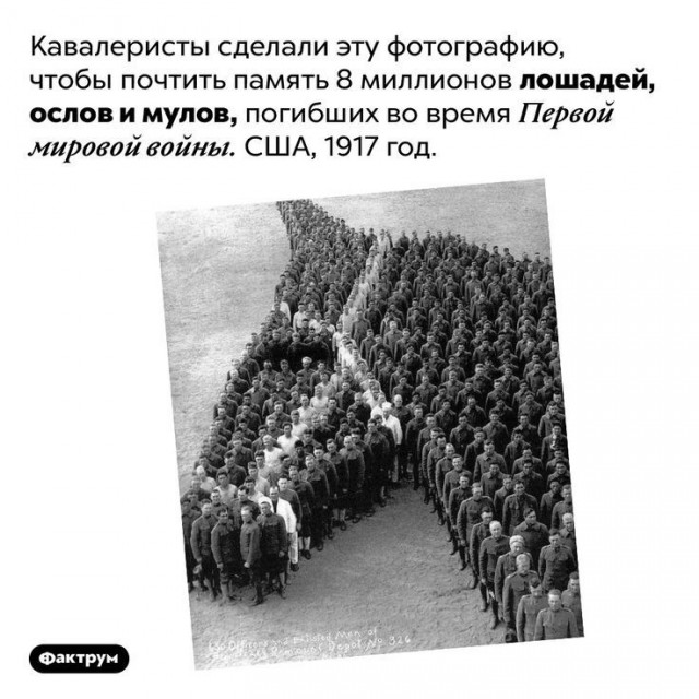 Куча мала 8