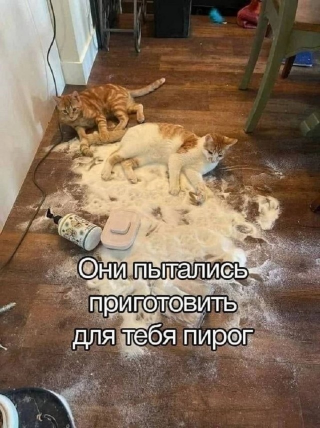 Веселое настроение в картинках (02.12.2025)