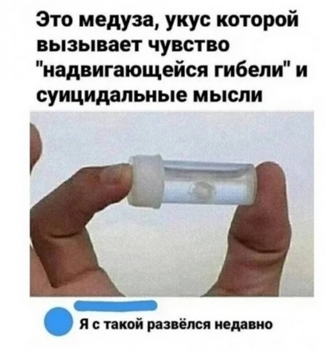 Бессистемные картинки опять