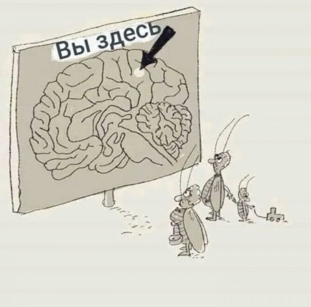 Островок стабильности в этом безумном мире