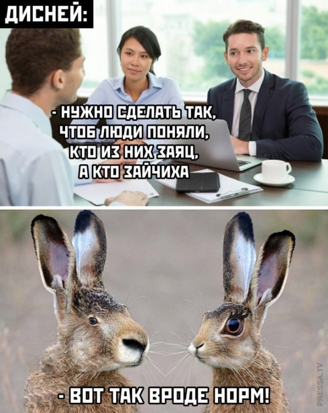 Веселые картинки в понедельник (который вторник) (10.03)