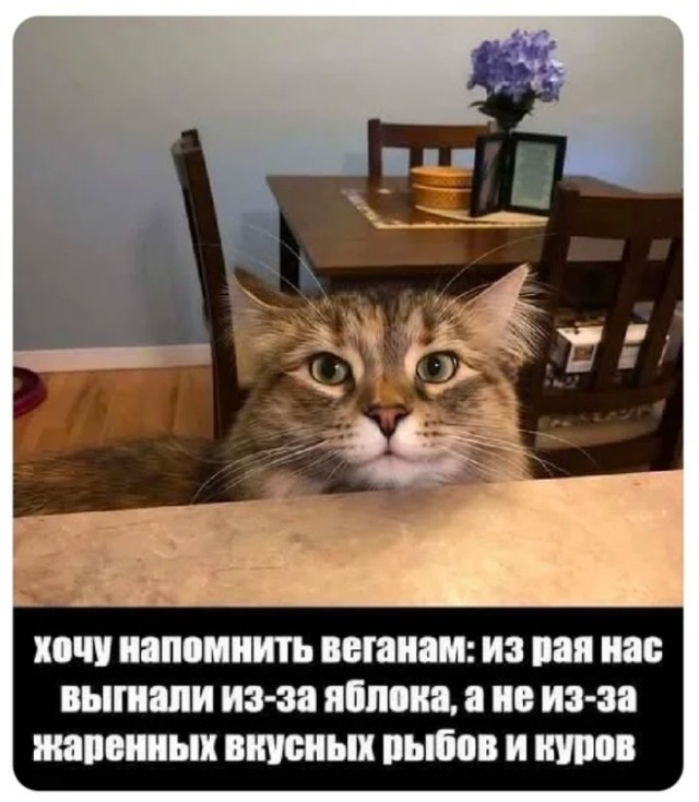 Четверговые картинки