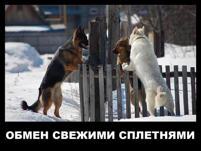 Среды картинки