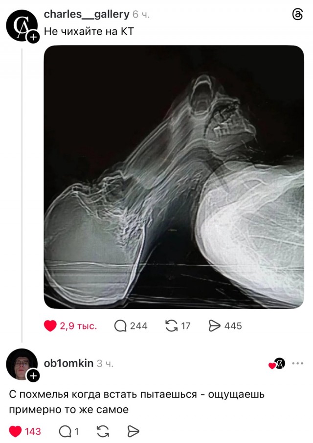 Воскресные картинки