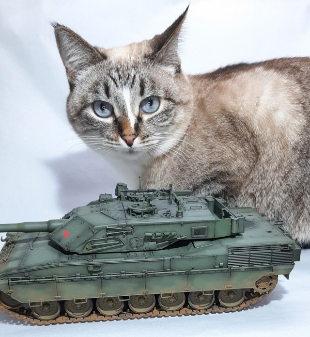 Степана вам в котовторник