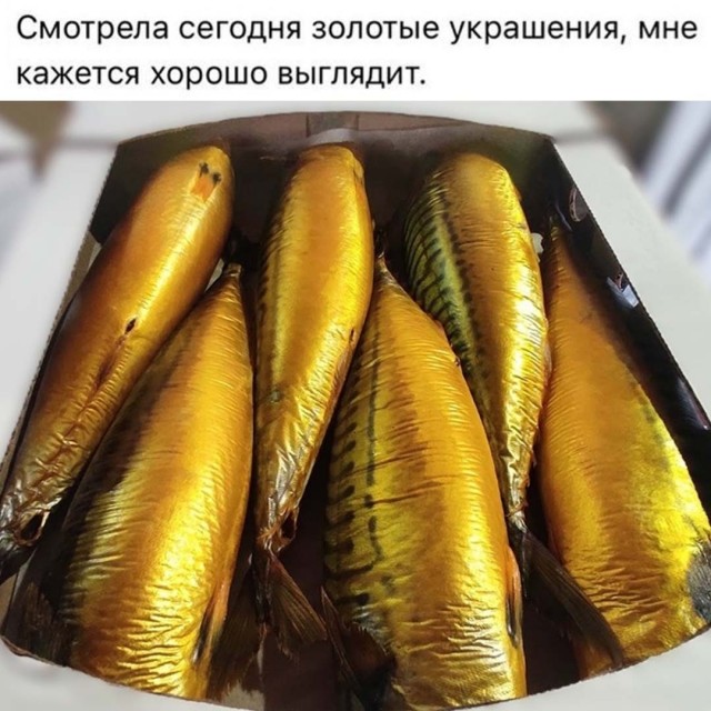 Картинки для деградации 288 (разной степени свежести)